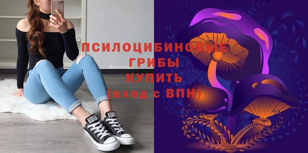 мяу мяу мука Белокуриха